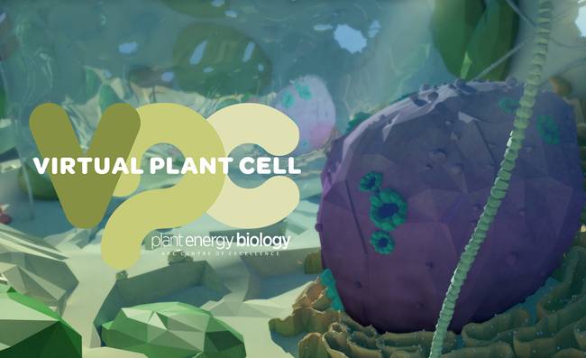 Cells in VR